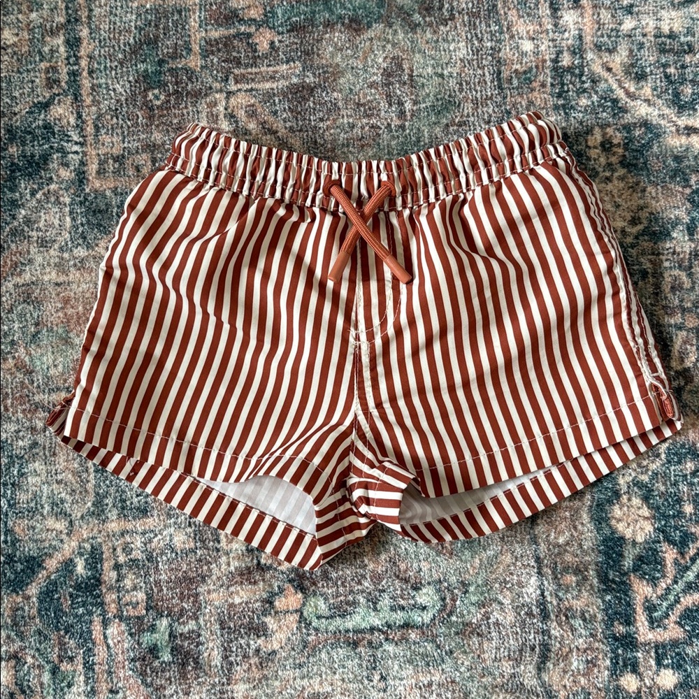 Zara Swim Shorts